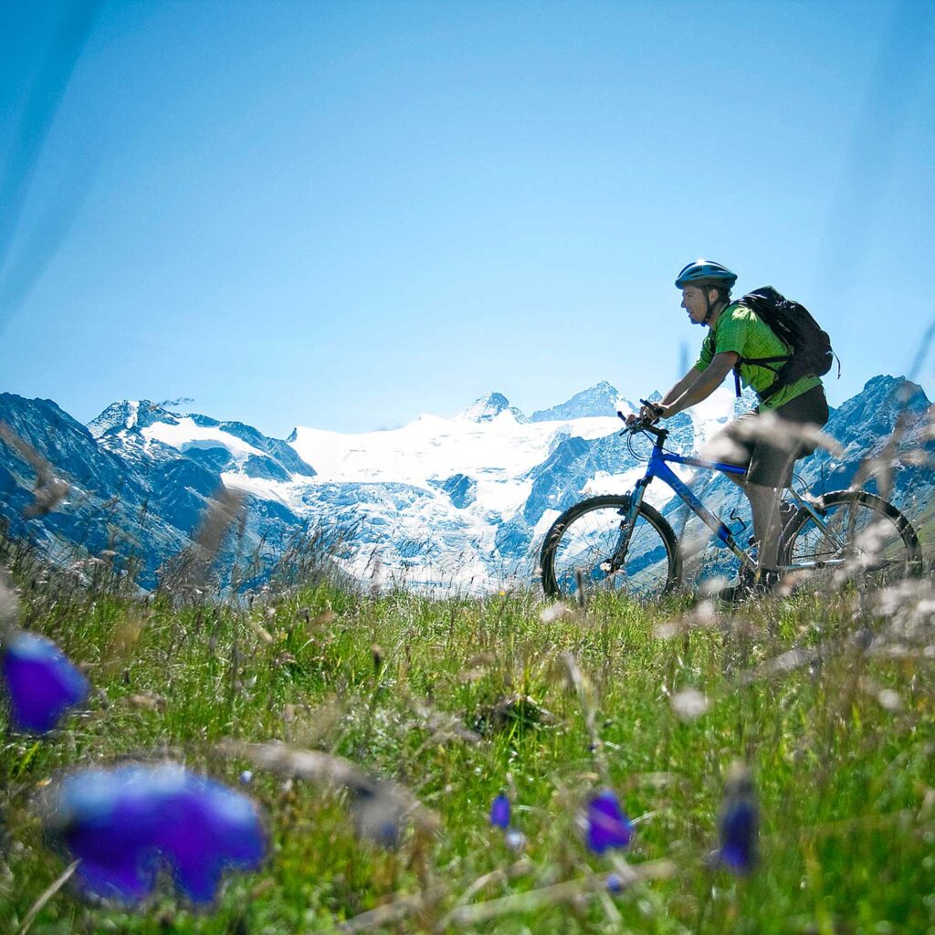 Mountain bike and bicycle in Valais